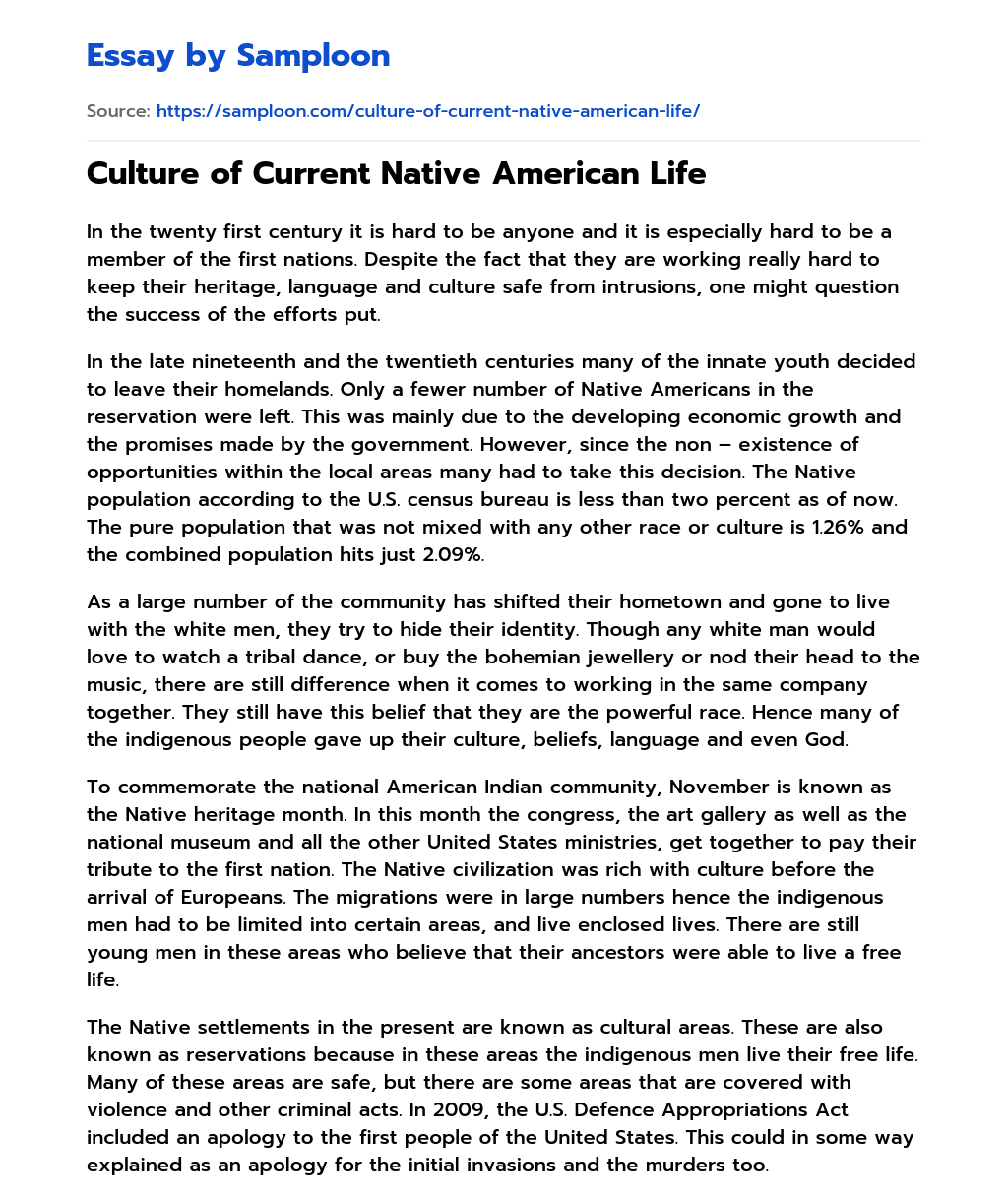 Culture of Current Native American Life essay