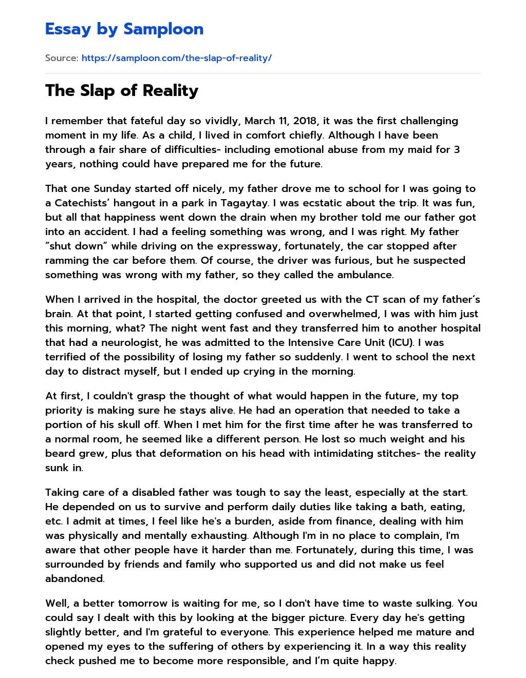 The Slap of Reality essay