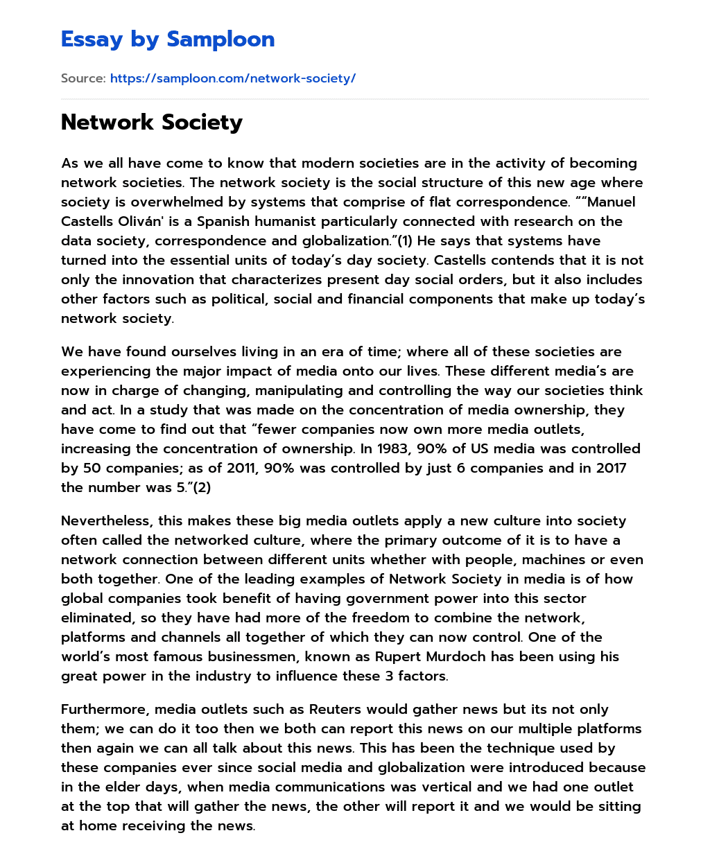 Network Society essay