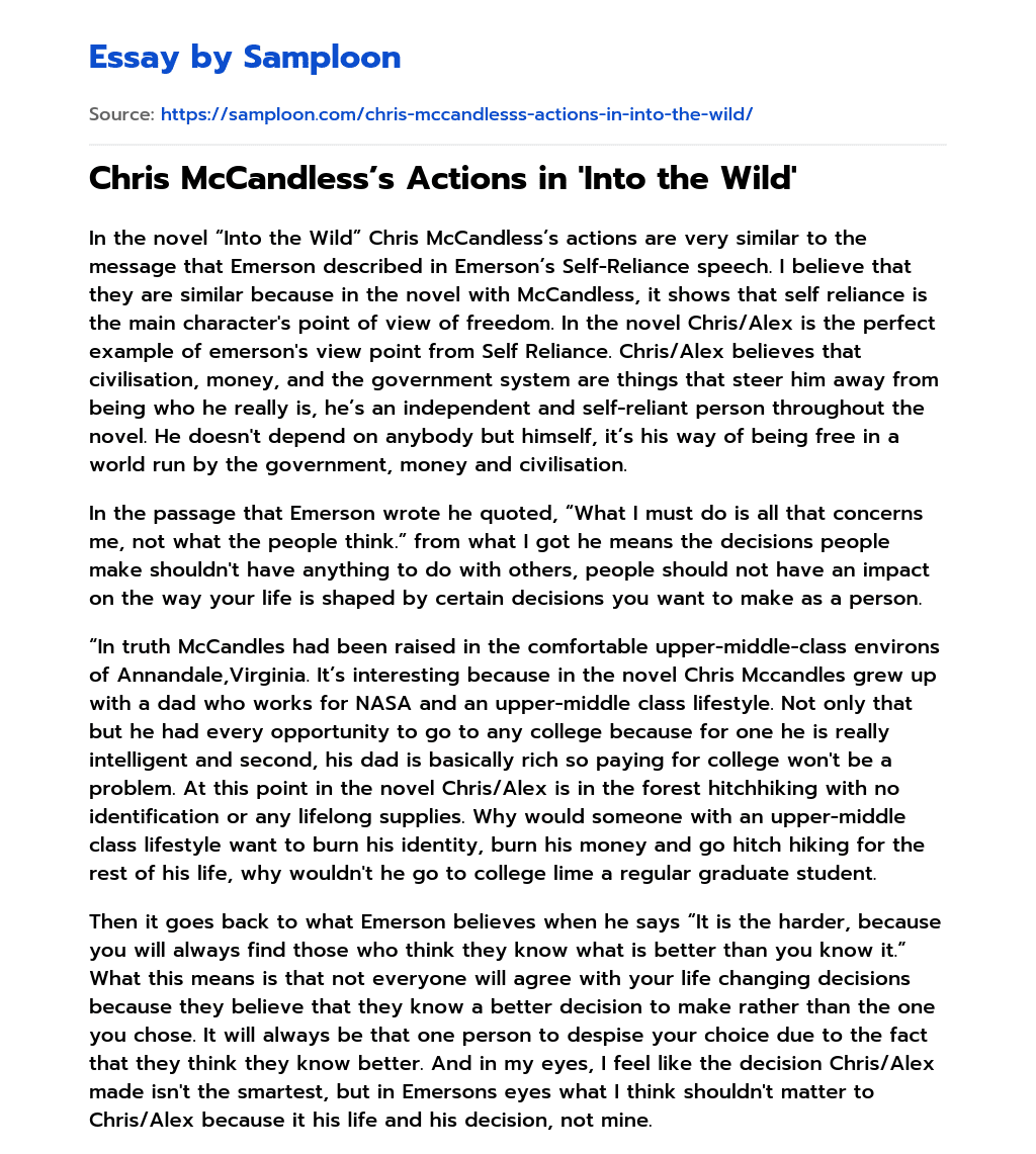 Chris McCandless’s Actions in ‘Into the Wild’ essay