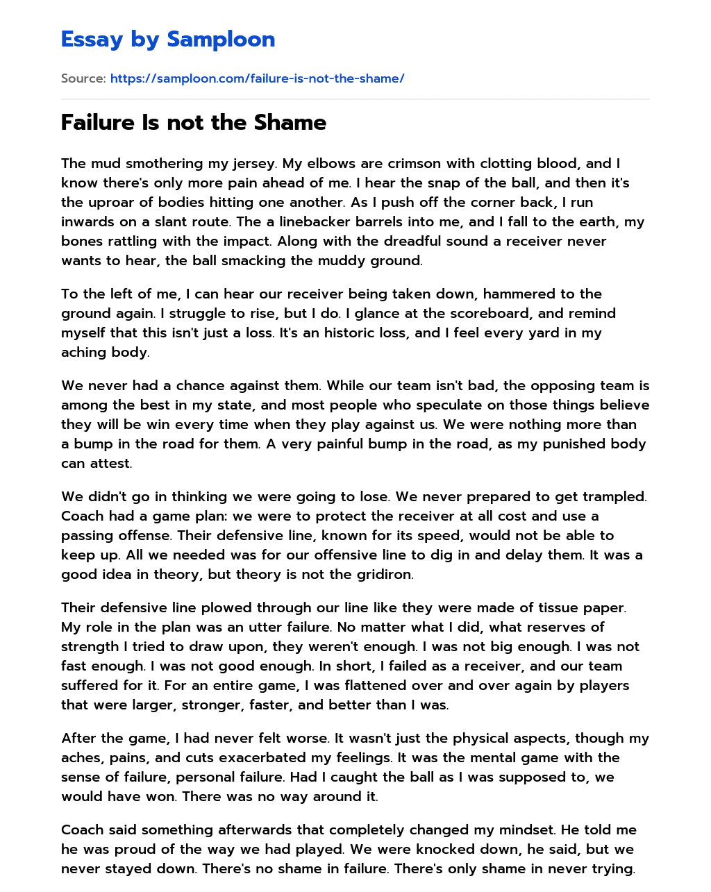 Failure Is not the Shame essay