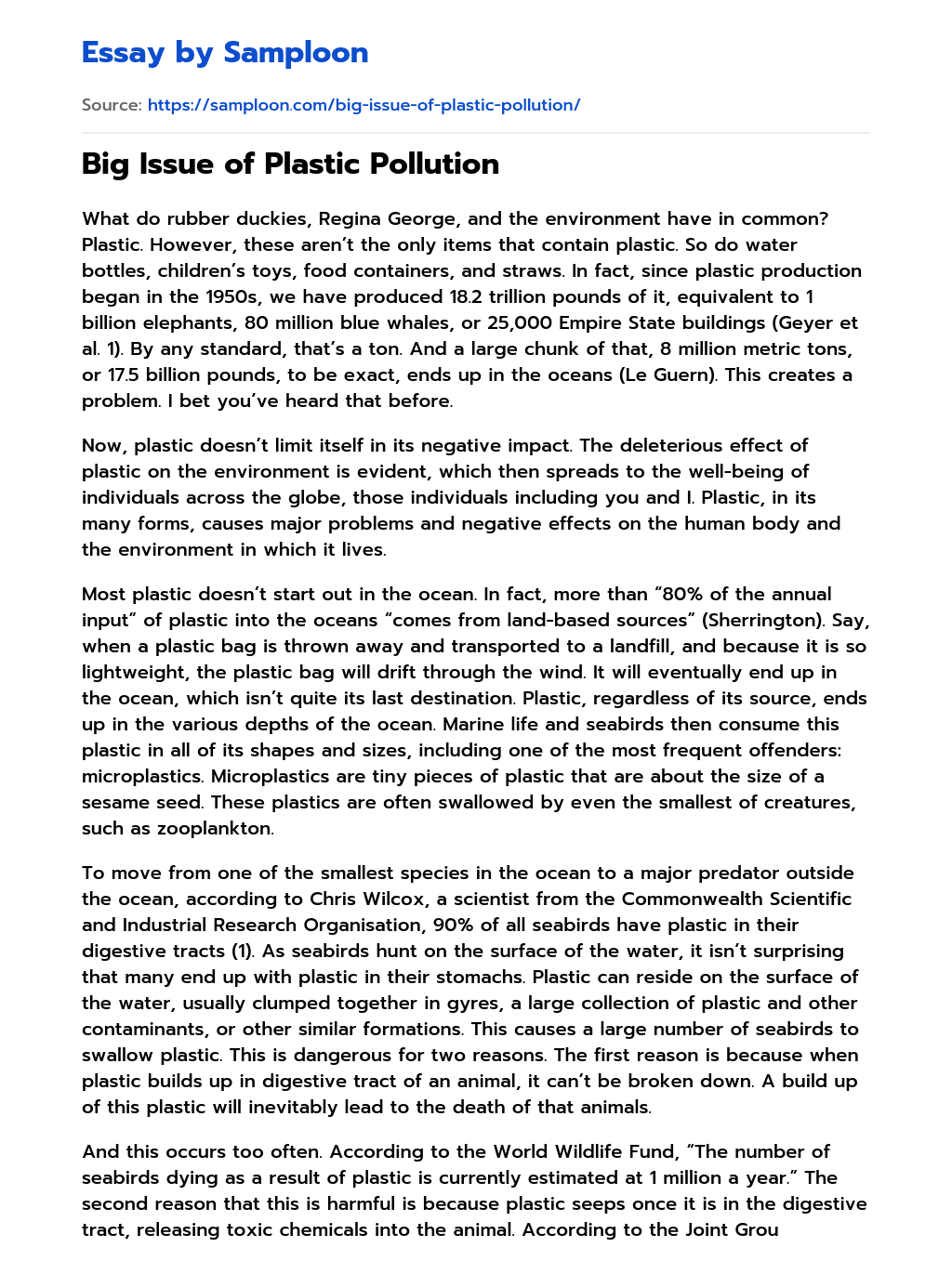 Big Issue of Plastic Pollution essay