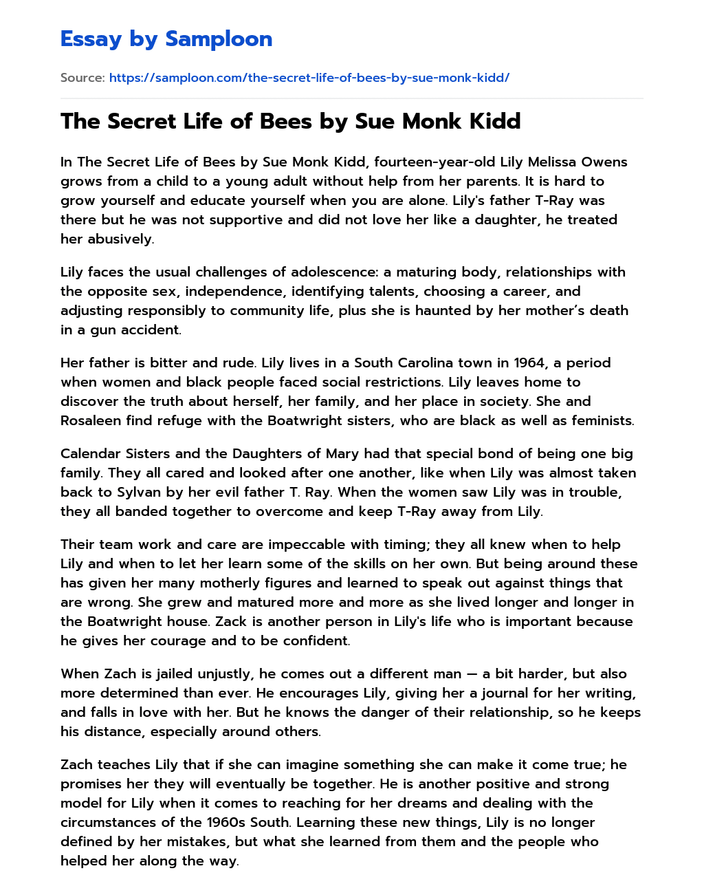 The Secret Life of Bees by Sue Monk Kidd essay