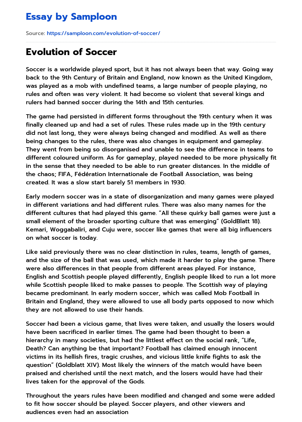 essay about experience in soccer