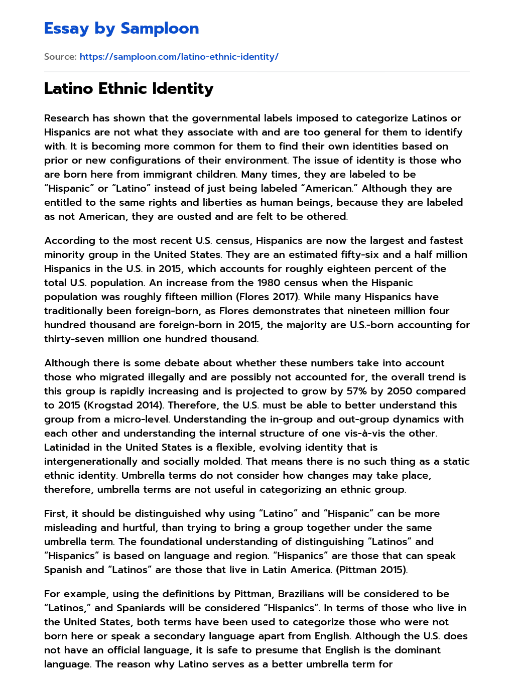 Latino Ethnic Identity essay