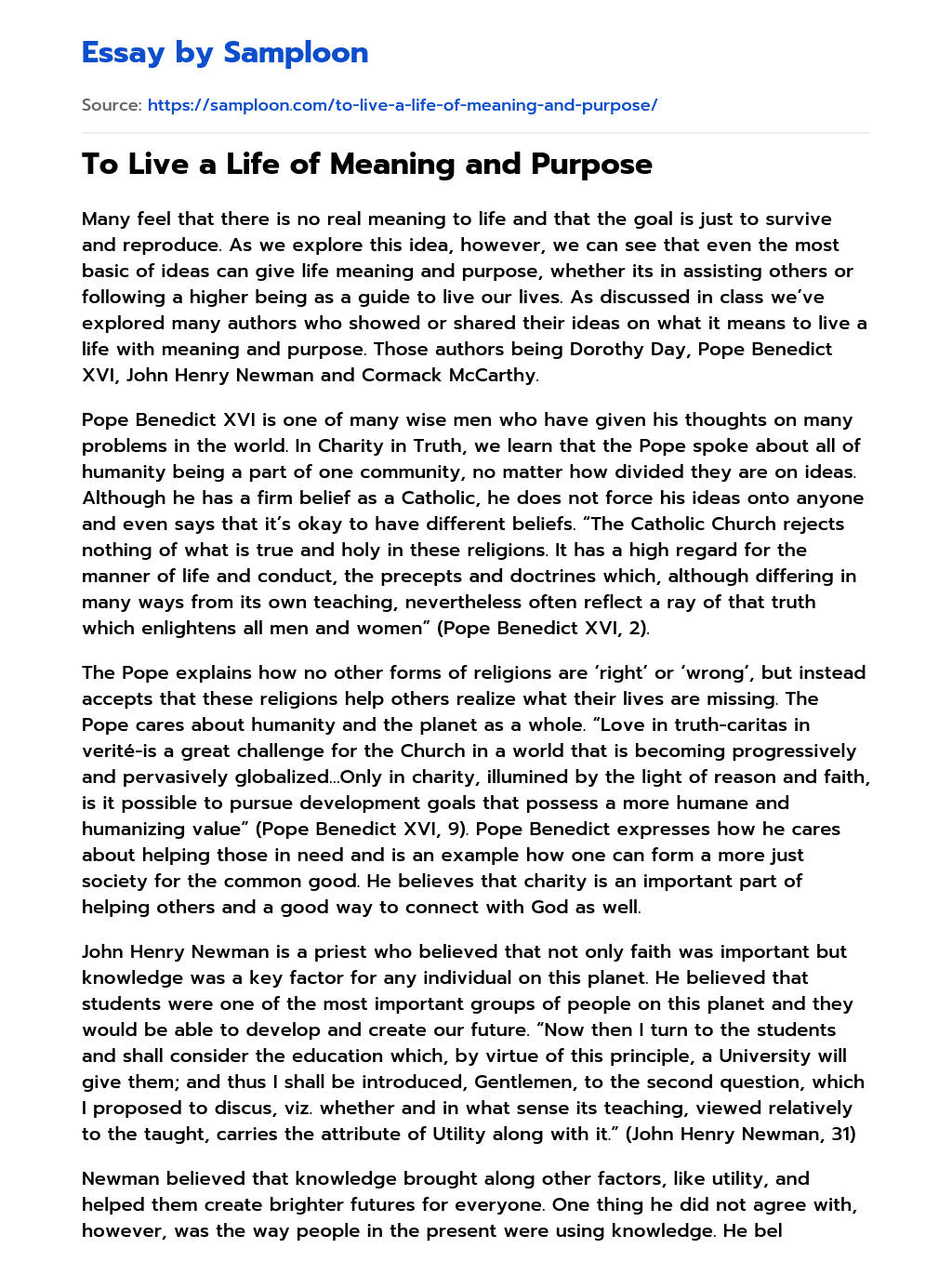 purpose and meaning of life essay