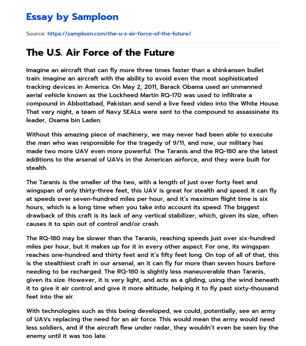 The U.S. Air Force of the Future  essay
