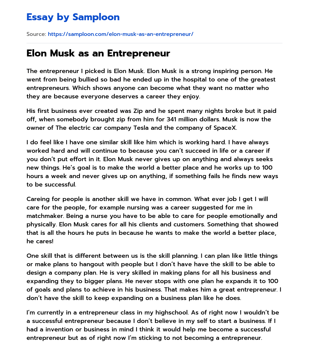 Elon Musk as an Entrepreneur essay