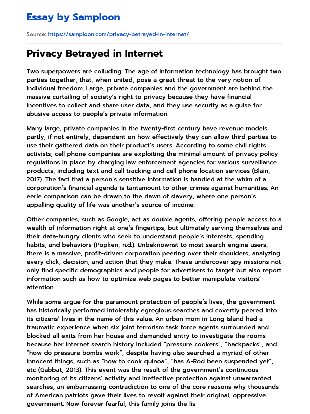 Privacy Betrayed in Internet essay