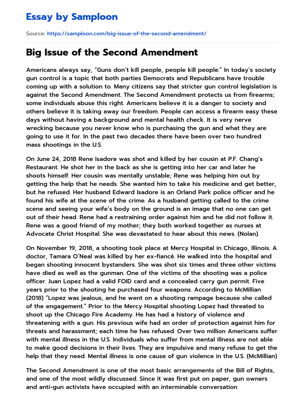 essay on second amendment rights