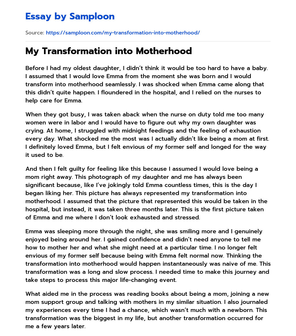 My Transformation into Motherhood essay