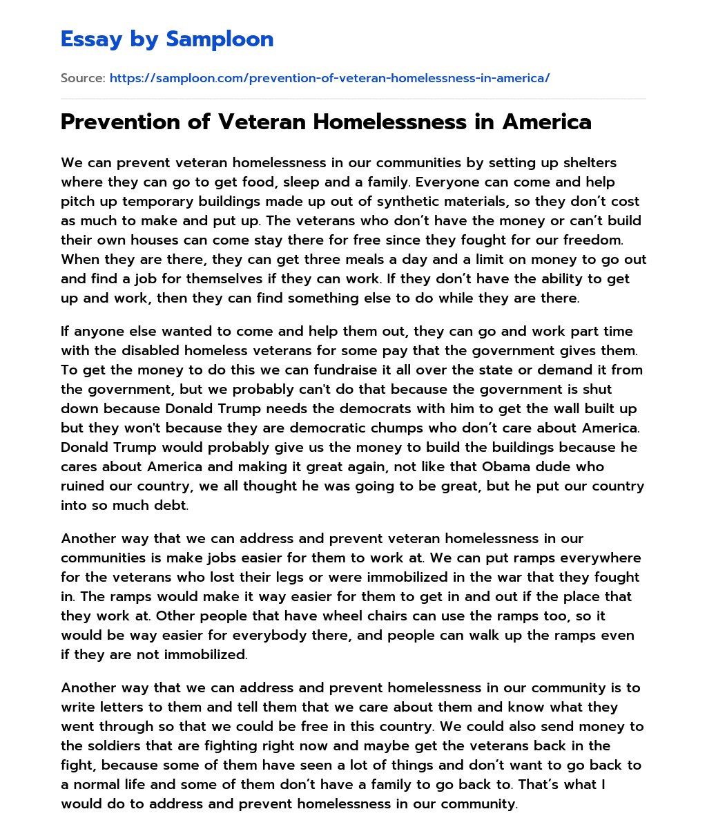 Prevention of Veteran Homelessness in America essay