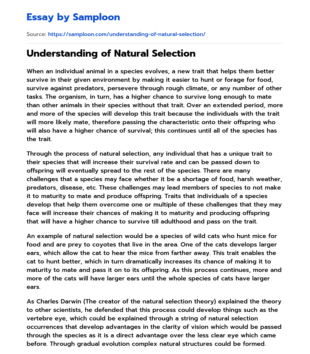 Understanding of Natural Selection essay