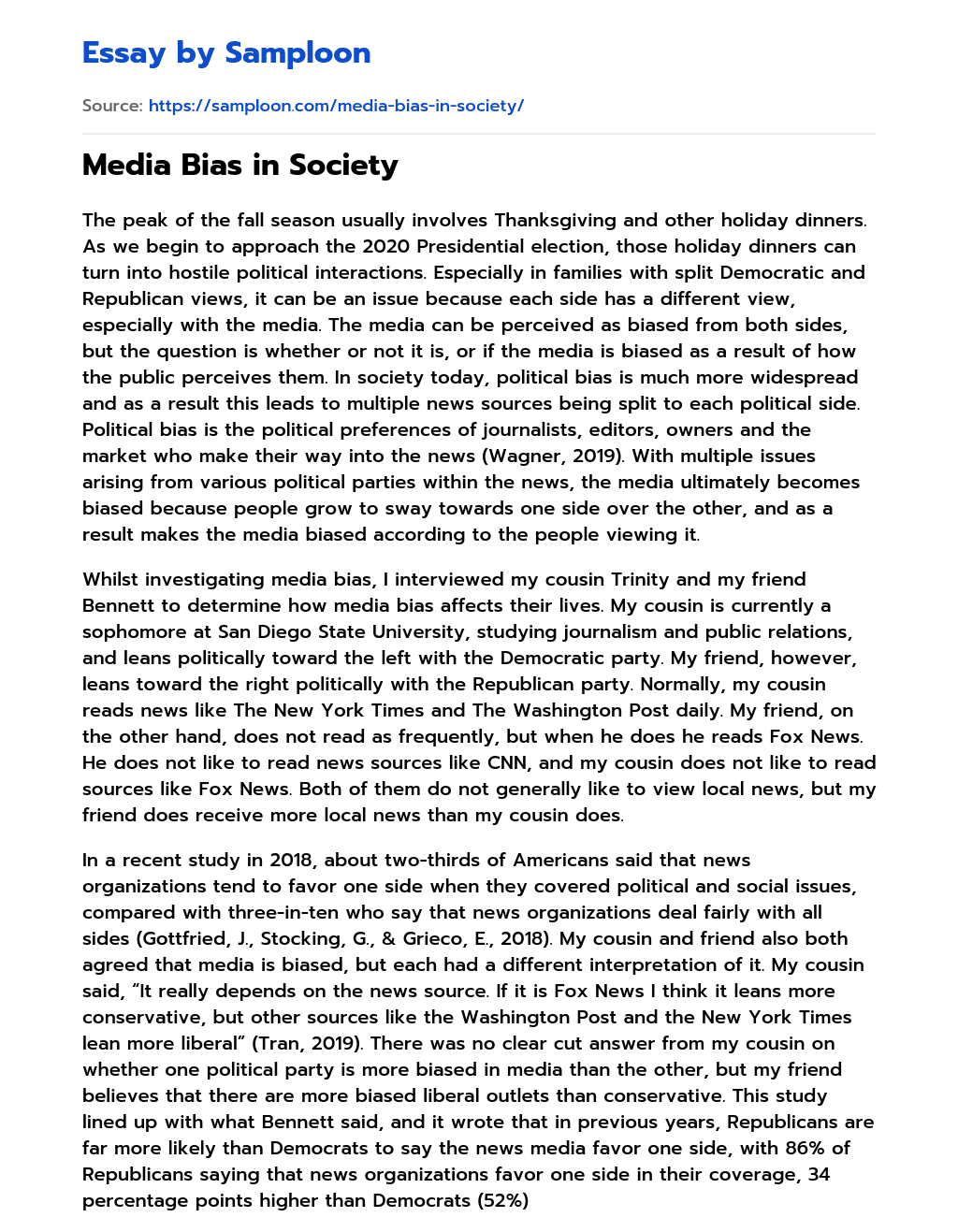 Media Bias in Society essay