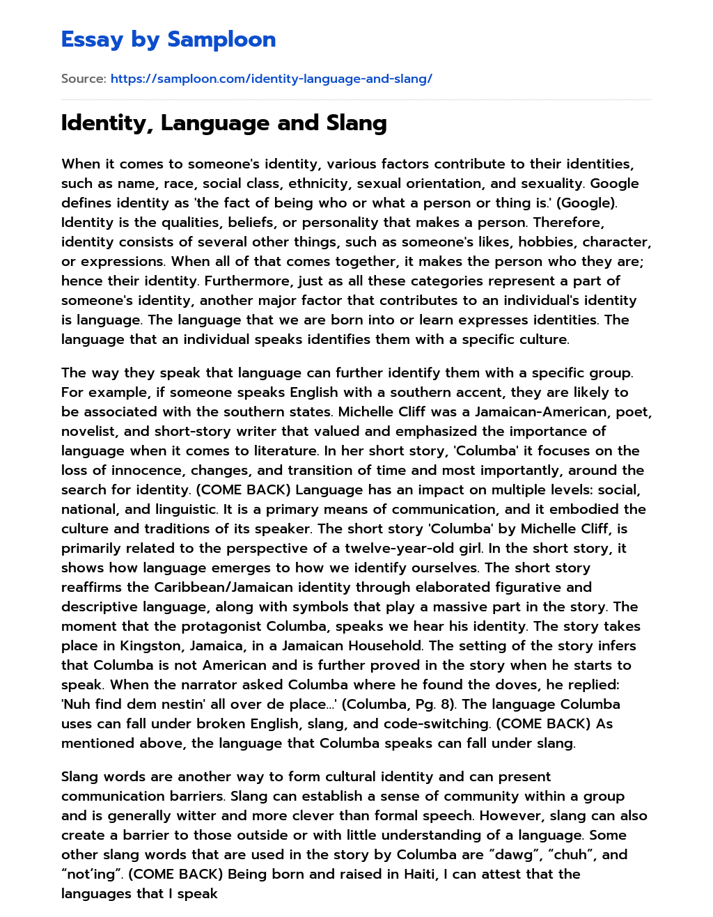 Identity, Language and Slang essay