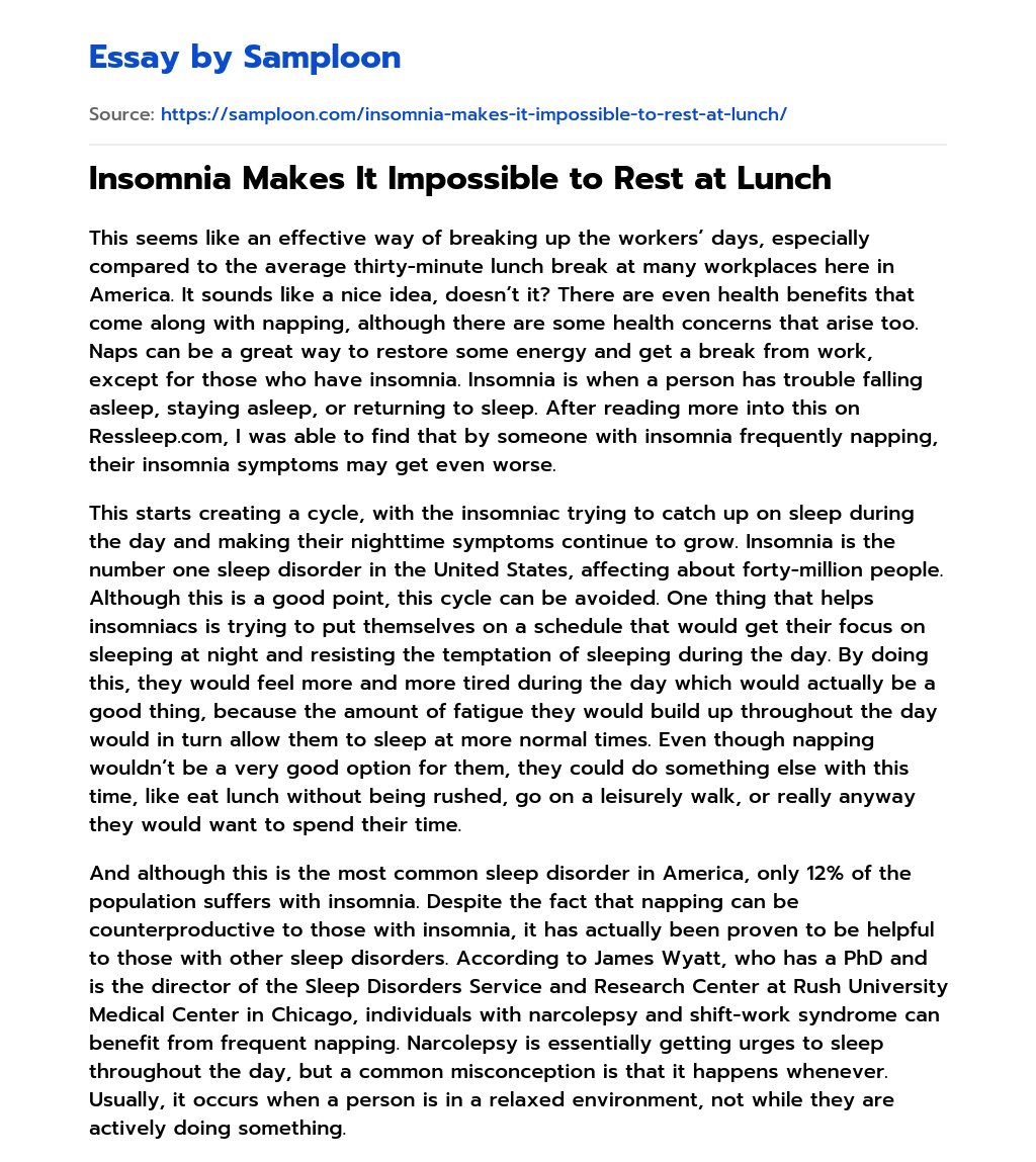 Insomnia Makes It Impossible to Rest at Lunch essay