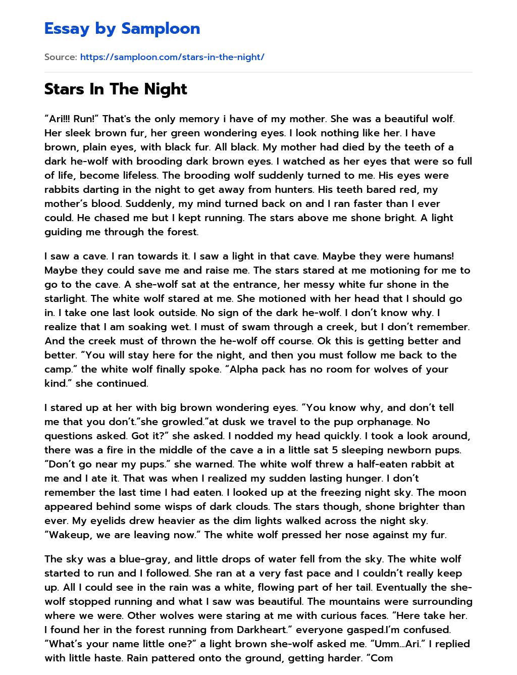 Stars In The Night essay