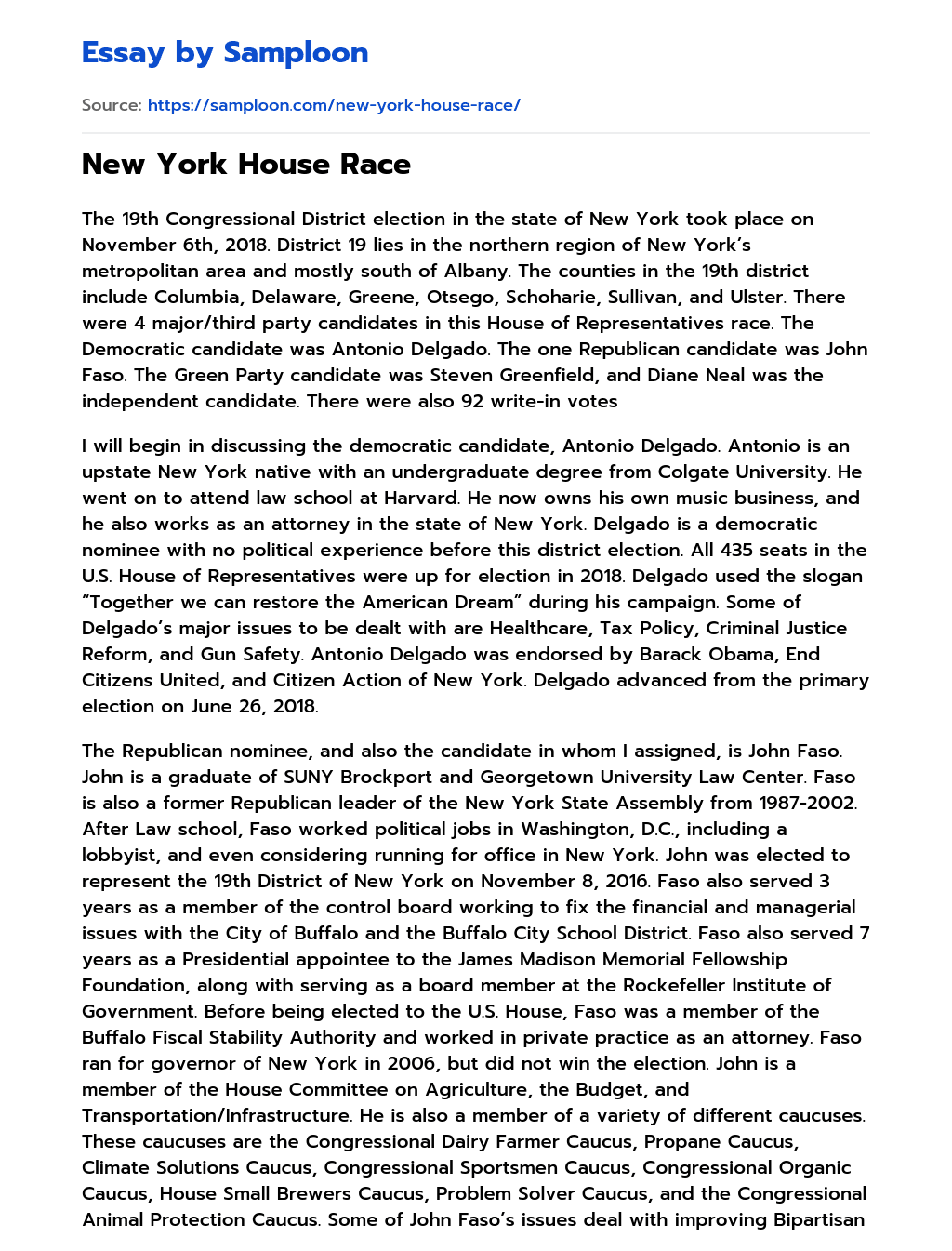 New York House Race essay