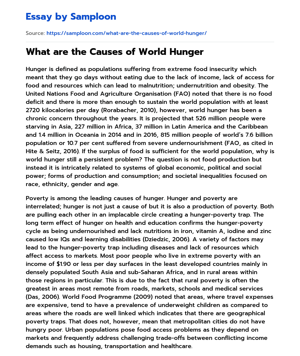 What are the Causes of World Hunger essay