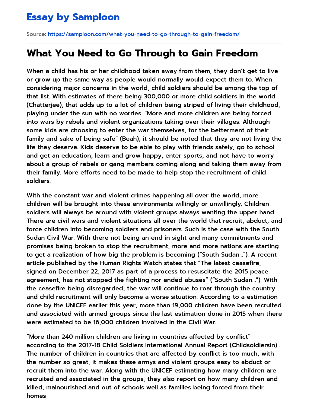 What You Need to Go Through to Gain Freedom essay