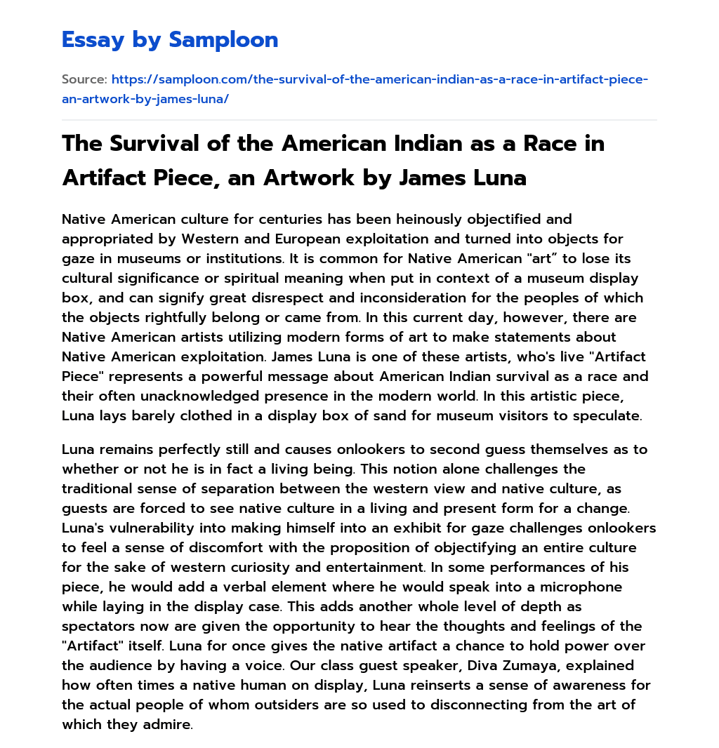 The Survival of the American Indian as a Race in Artifact Piece, an Artwork by James Luna essay