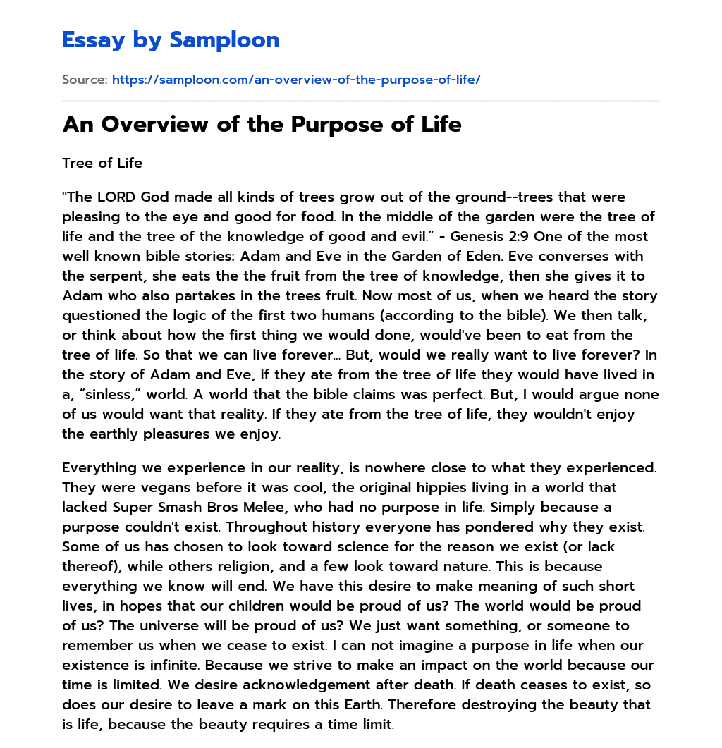 An Overview of the Purpose of Life essay