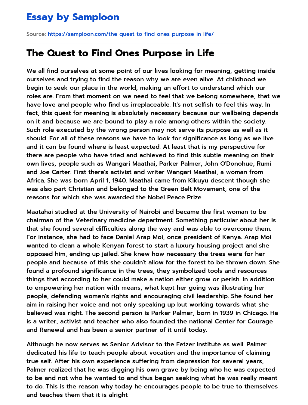 The Quest to Find Ones Purpose in Life essay