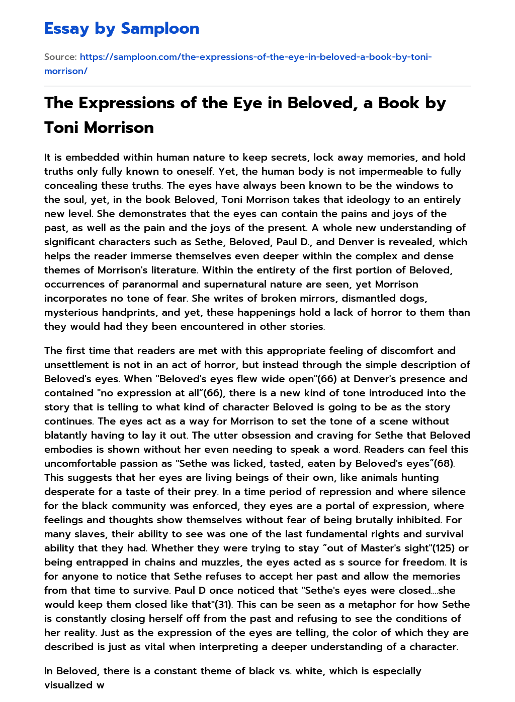 The Expressions of the Eye in Beloved, a Book by Toni Morrison essay