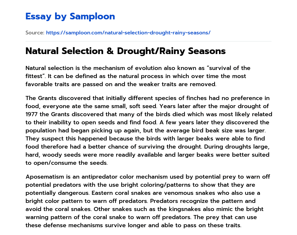 Natural Selection & Drought/Rainy Seasons essay