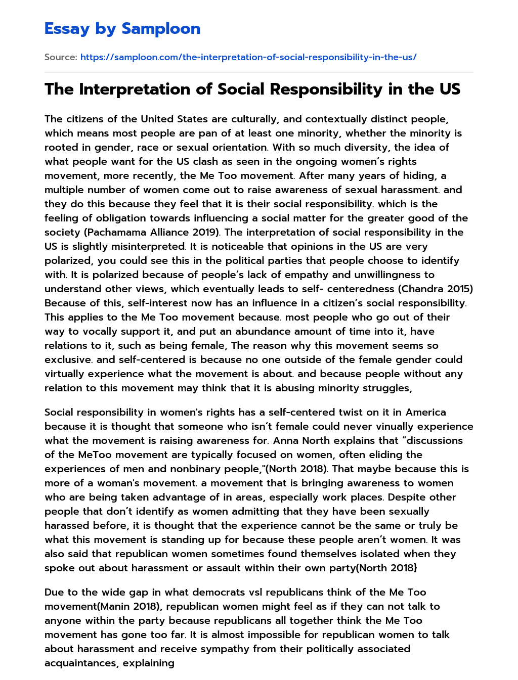 The Interpretation of Social Responsibility in the US essay