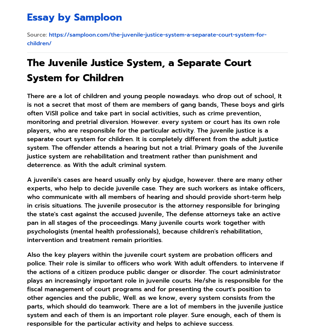 The Juvenile Justice System, a Separate Court System for Children essay