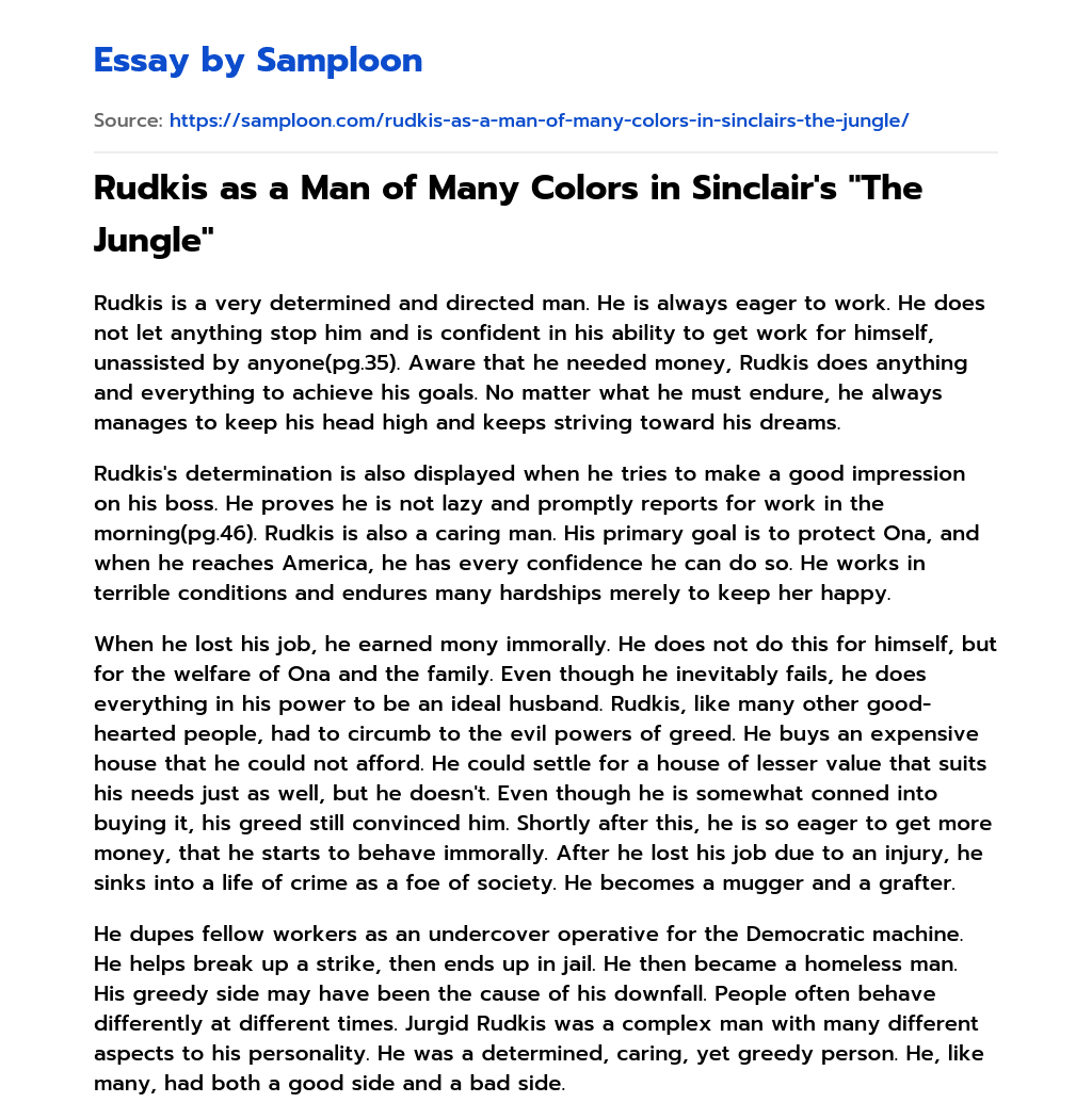Rudkis as a Man of Many Colors in Sinclair’s “The Jungle” essay