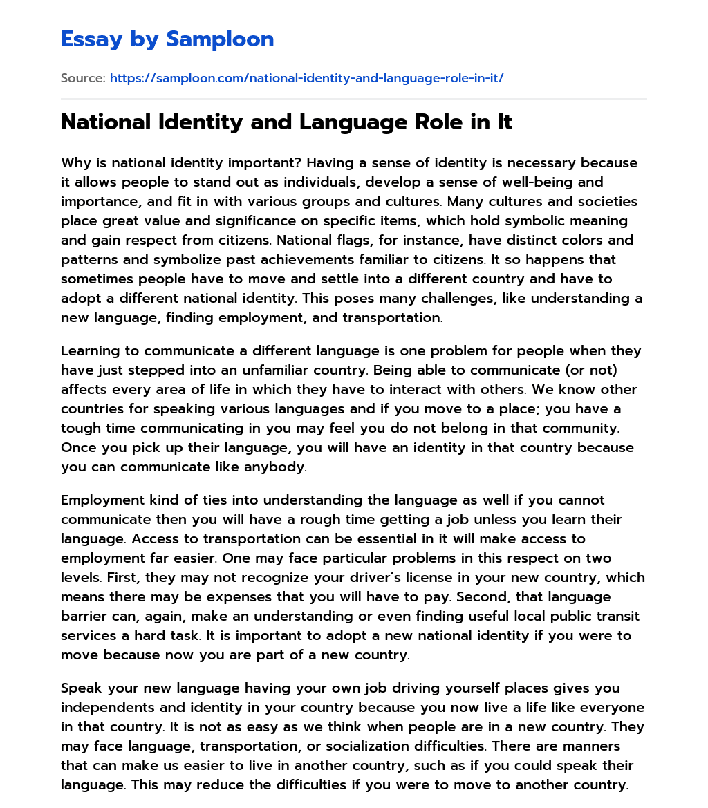 National Identity and Language Role in It essay
