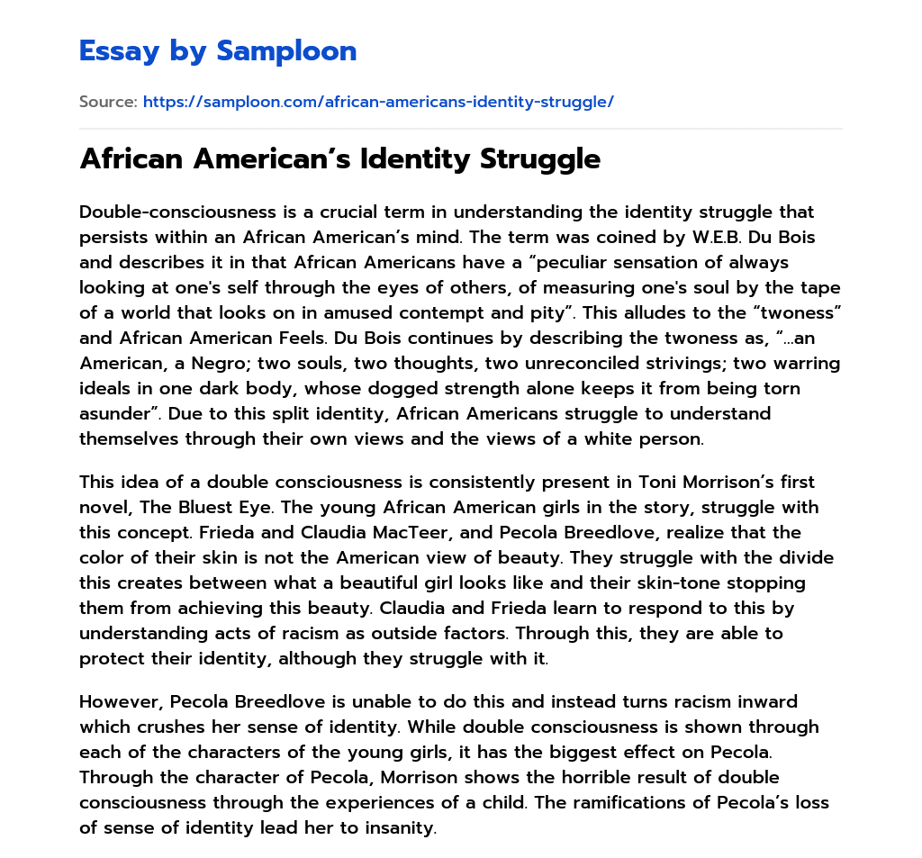 African American’s Identity Struggle essay