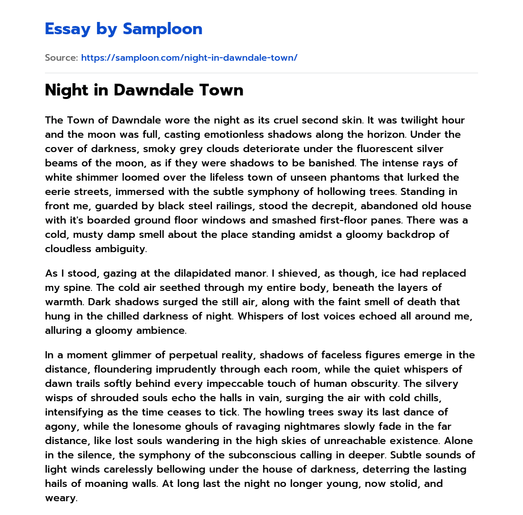 Night in Dawndale Town essay