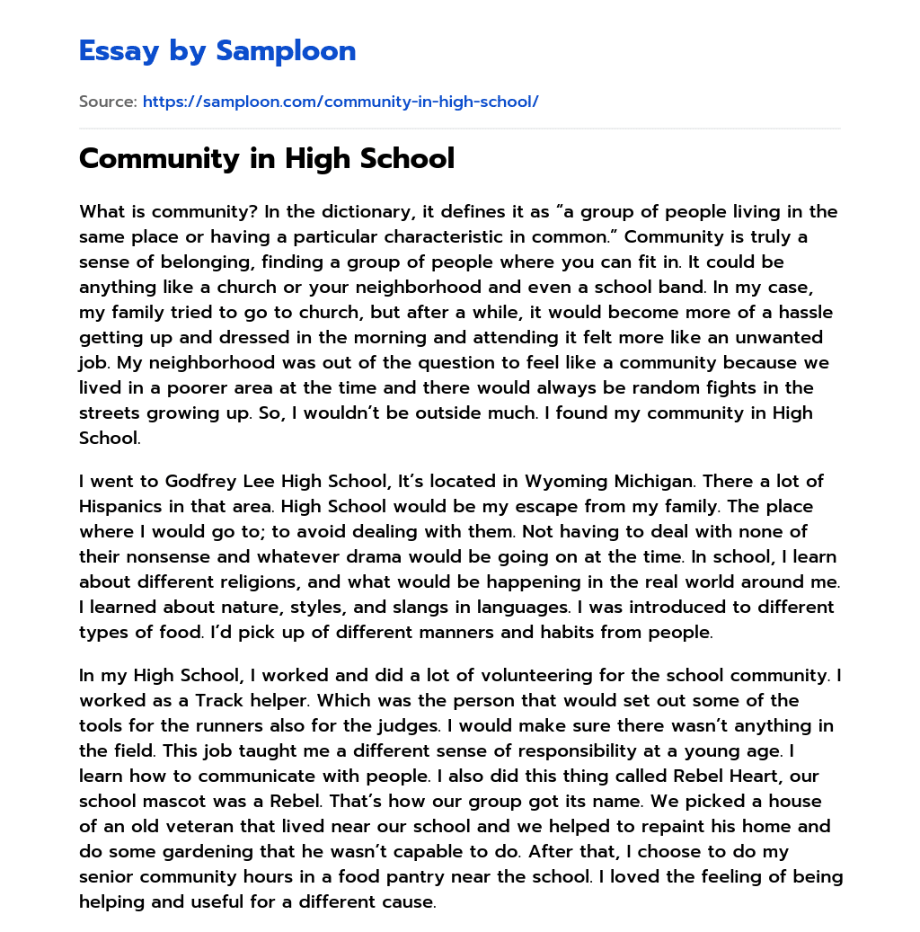 Community in High School essay