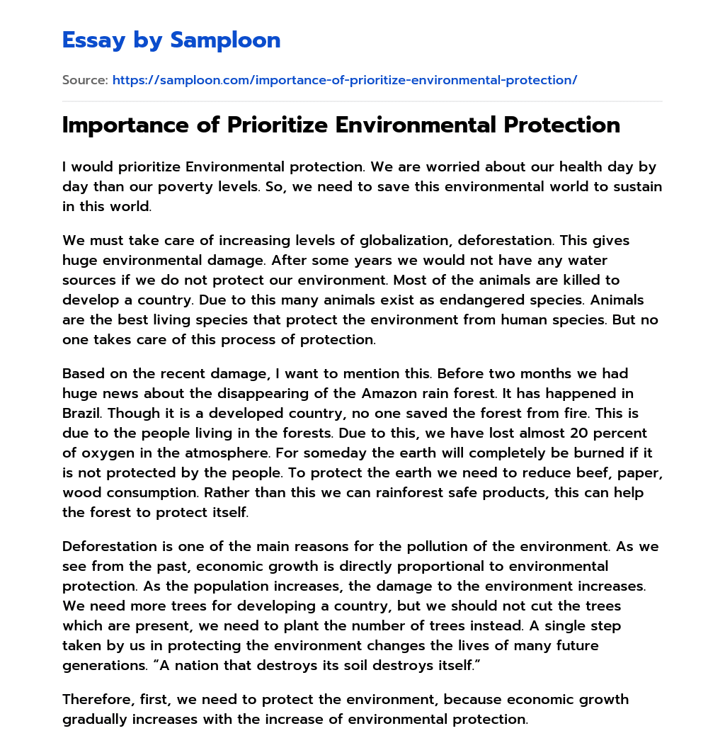 Importance of Prioritize Environmental Protection essay