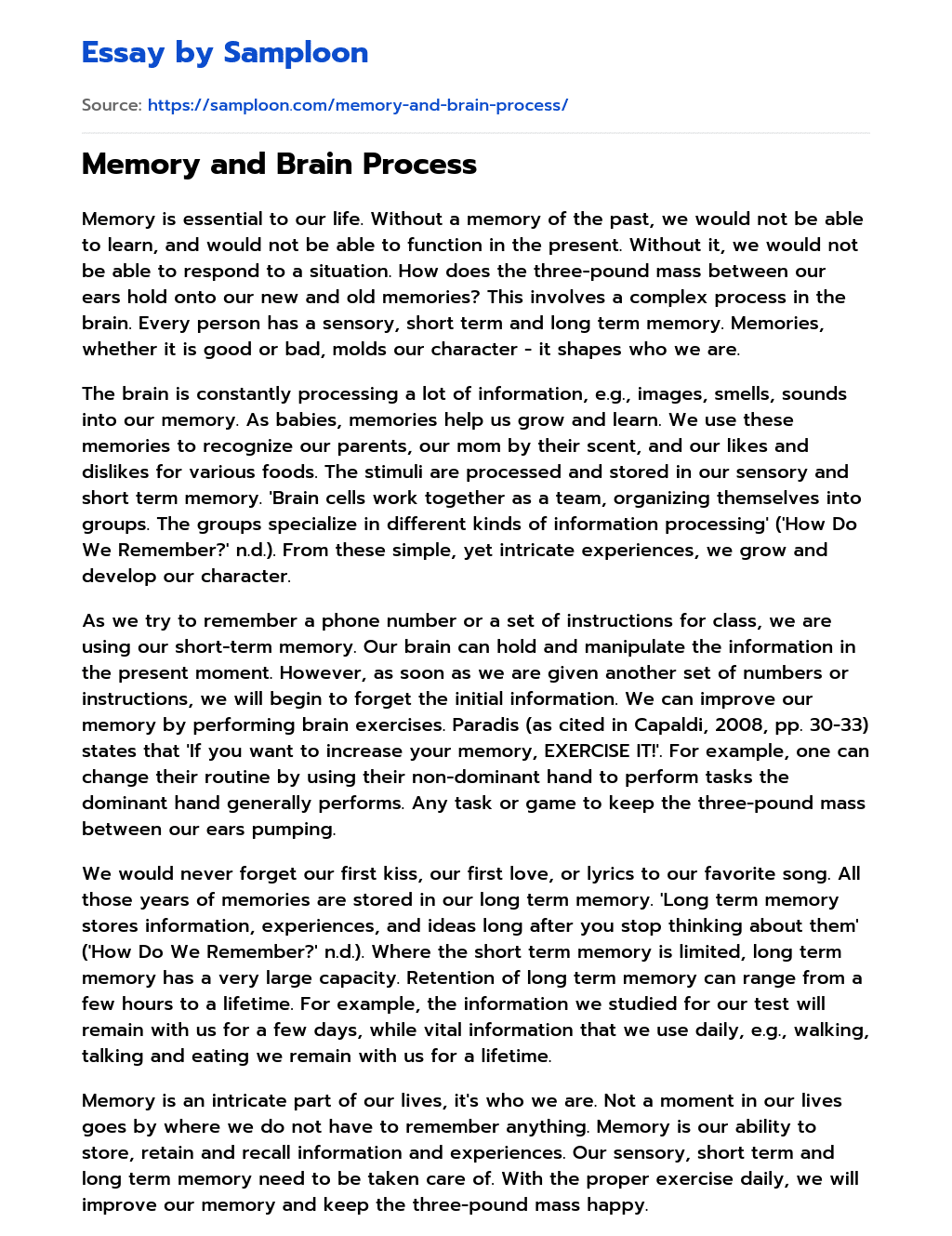 Memory and Brain Process essay