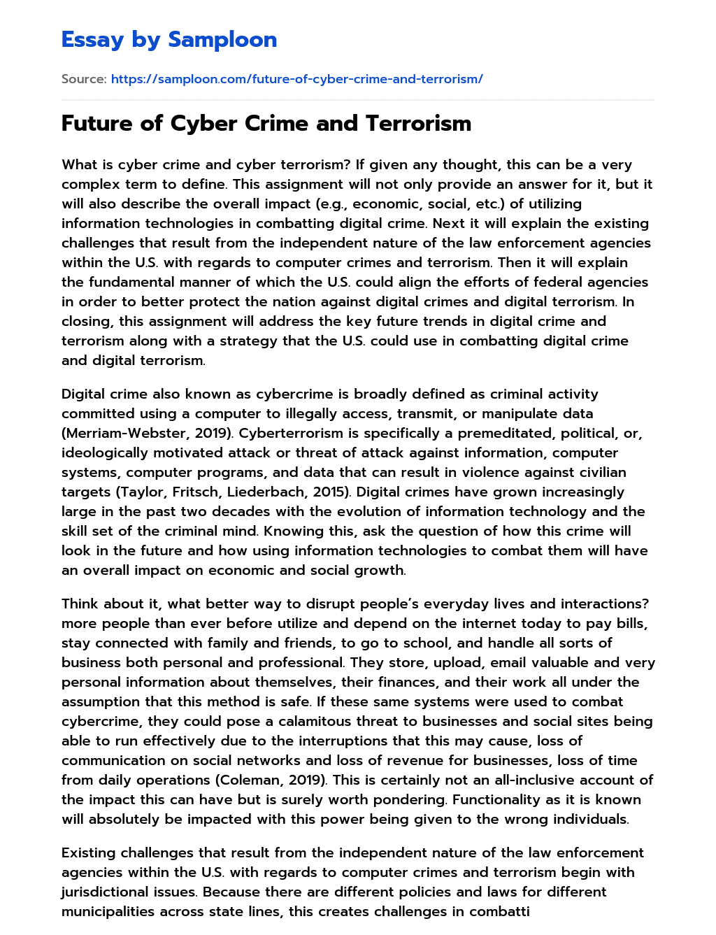 Future of Cyber Crime and Terrorism essay