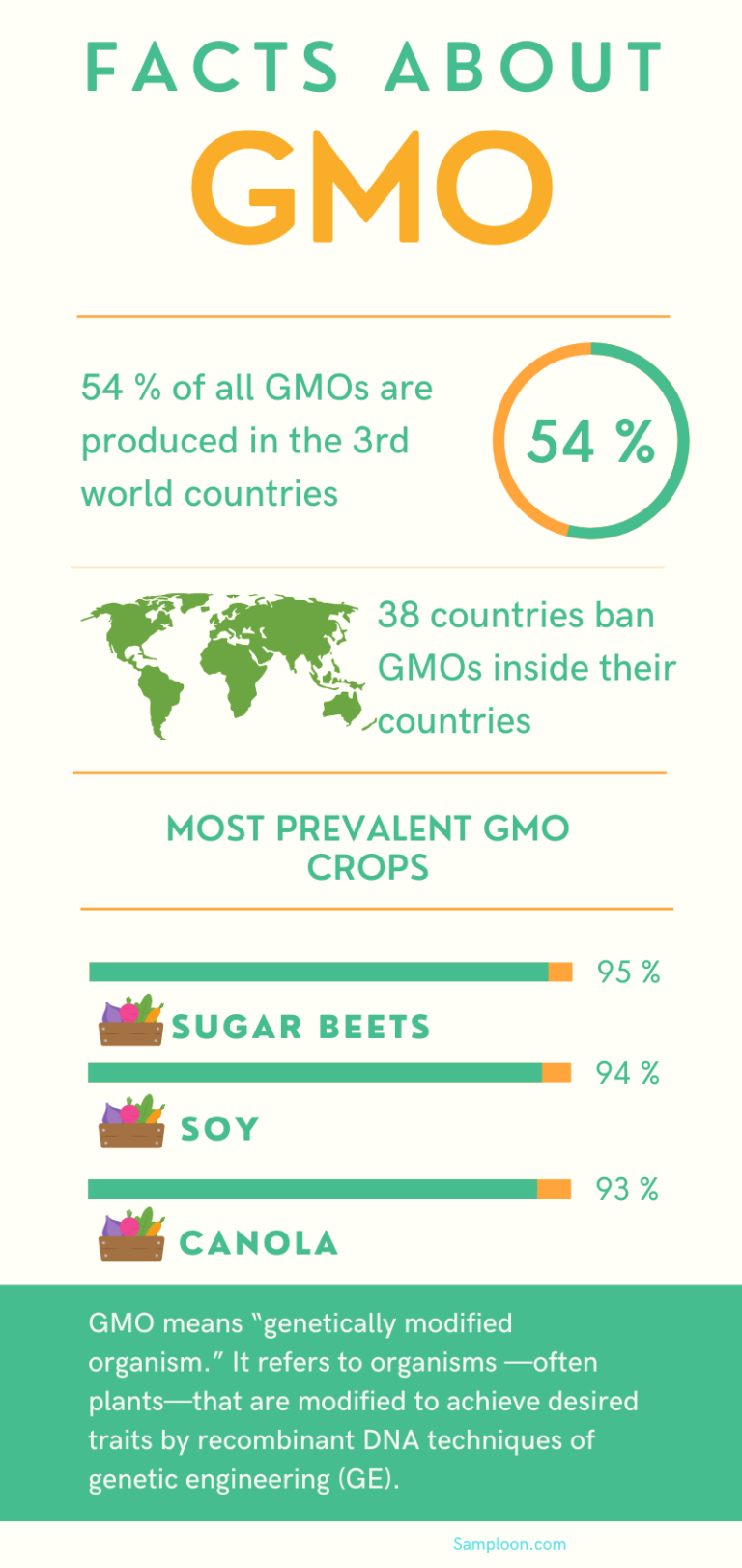 essay about gmo effects on the environment