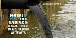 Key fact about water pollution