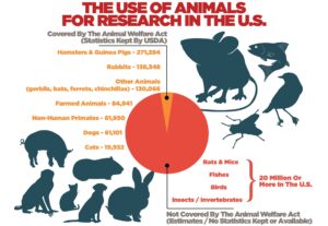 The Use of Animals for Research in the U.S.