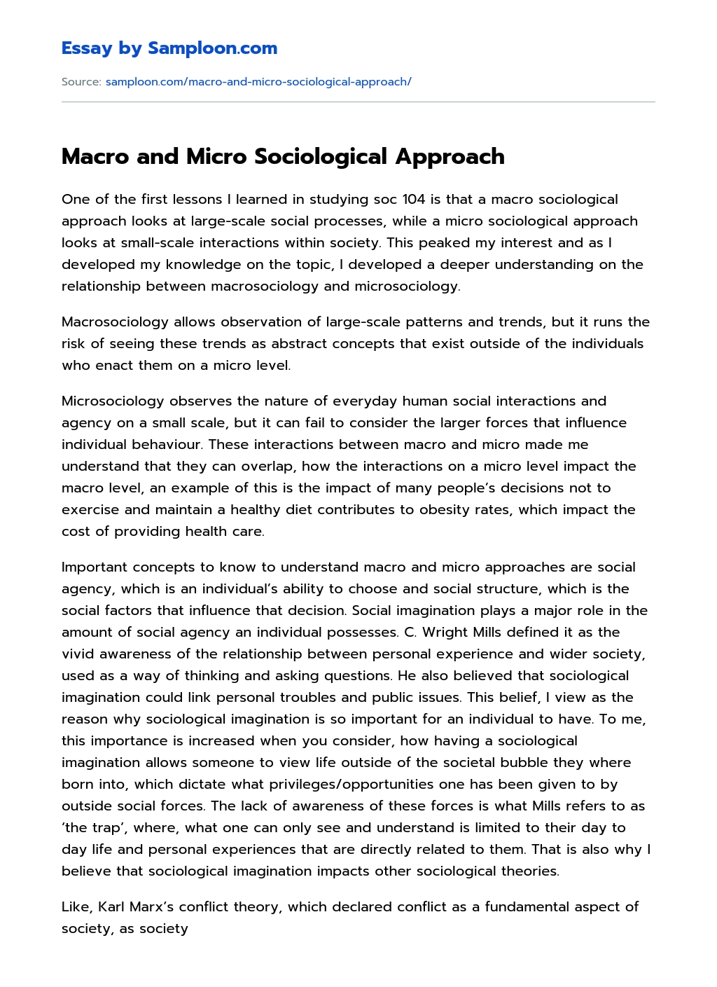 Macro and Micro Sociological Approach essay