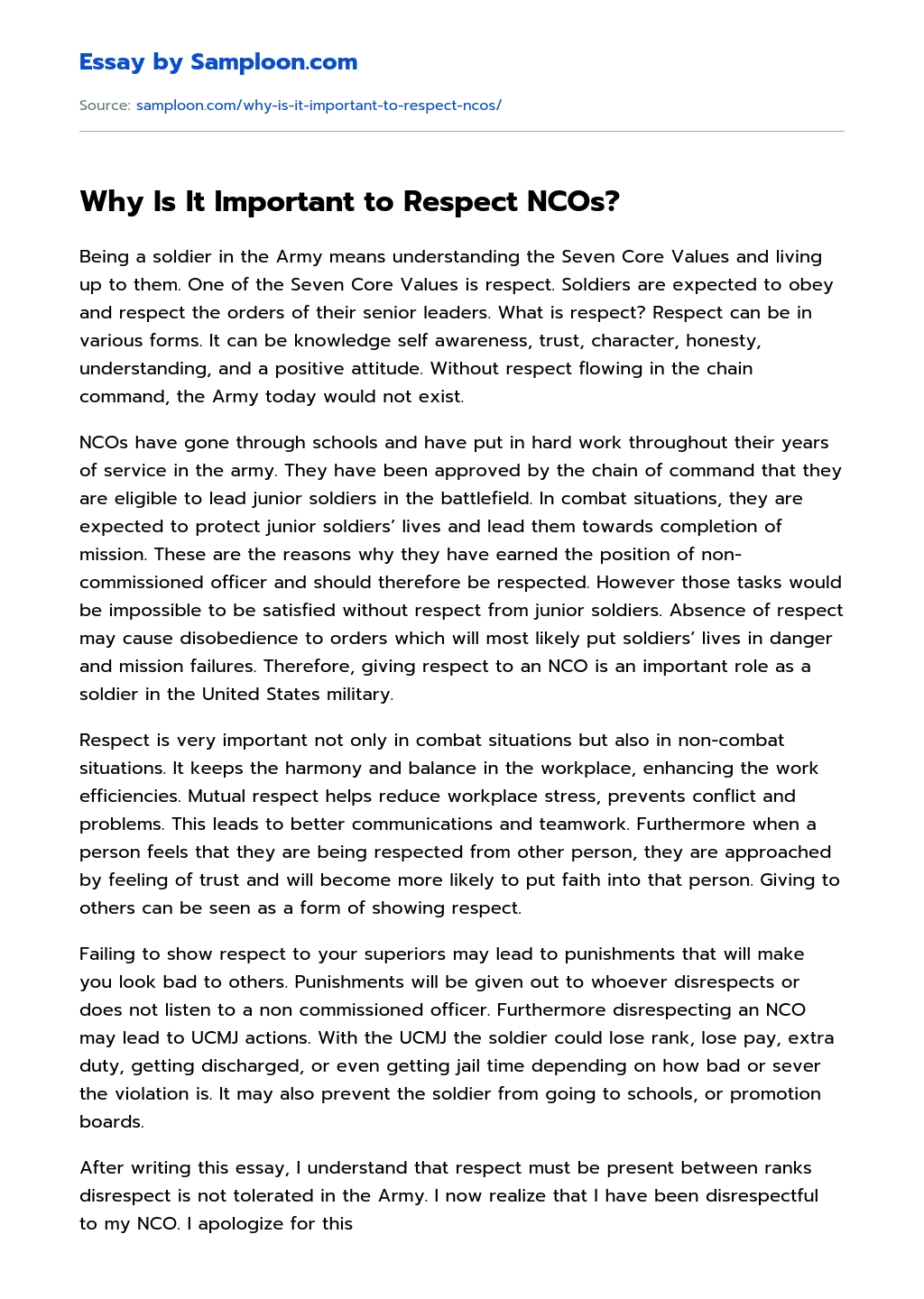 Why Is It Important to Respect NCOs? essay