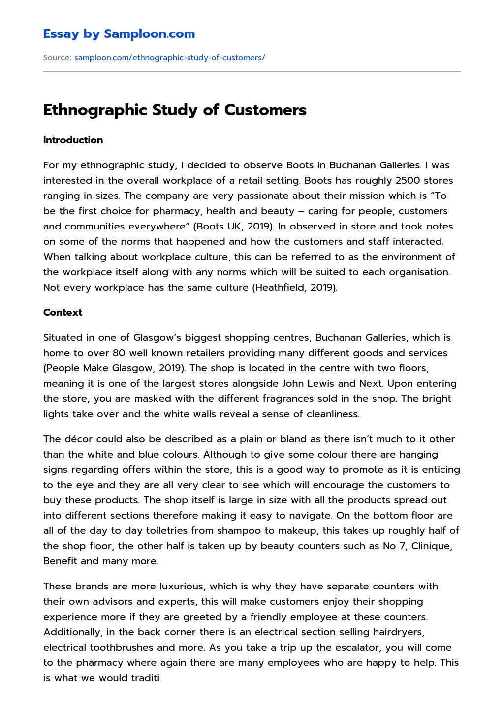 Ethnographic Study of Customers essay