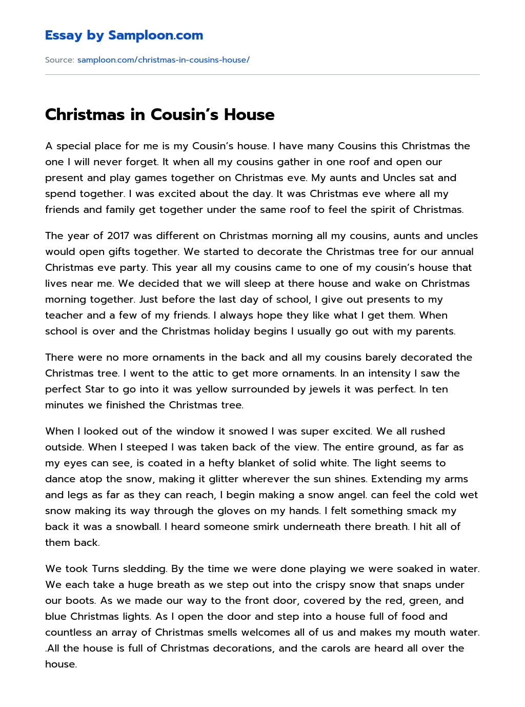 Christmas in Cousin’s House essay