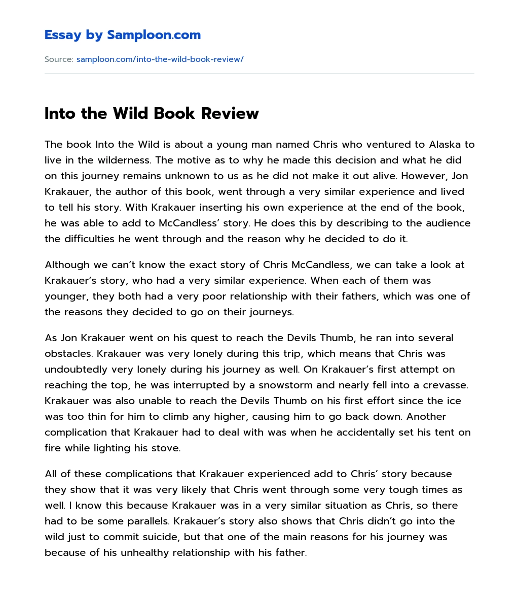 Into the Wild Book Review Literary Analysis essay