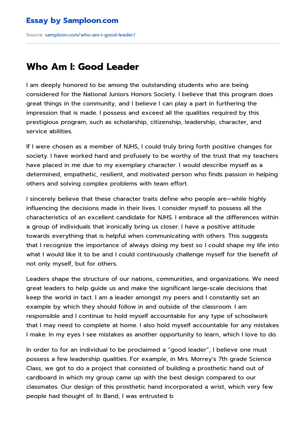 Who Am I: Good Leader essay
