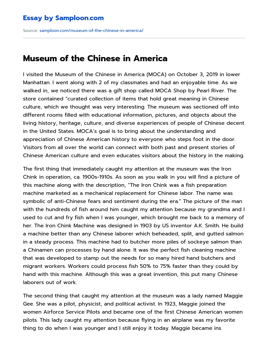 Museum of the Chinese in America essay