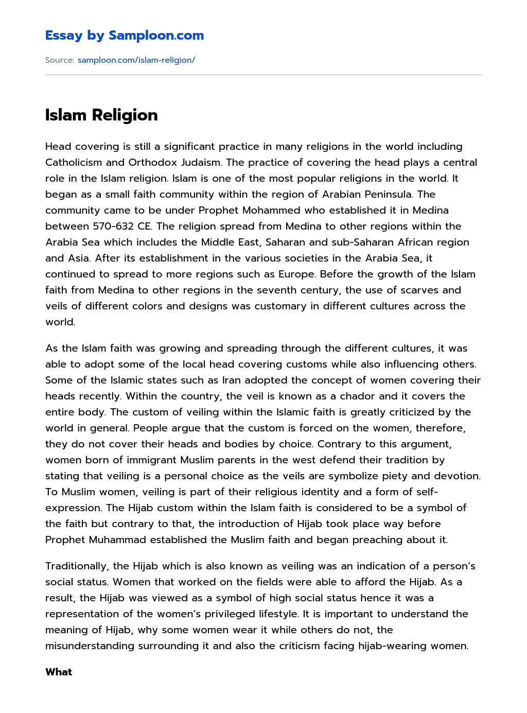 Islam Religion essay